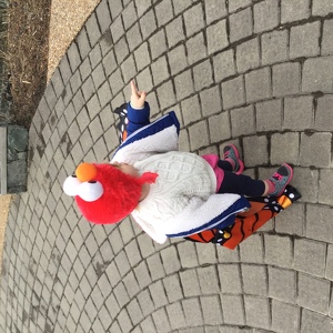 Team Page: Butterfly Squad